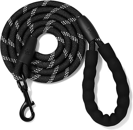 6FT Dog Leash