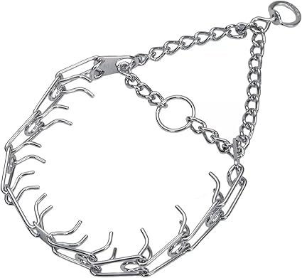 Dog Training Prong Collar
