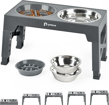 Elevated Food Bowls